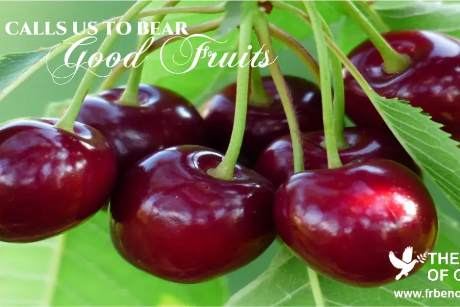 Bear good fruits