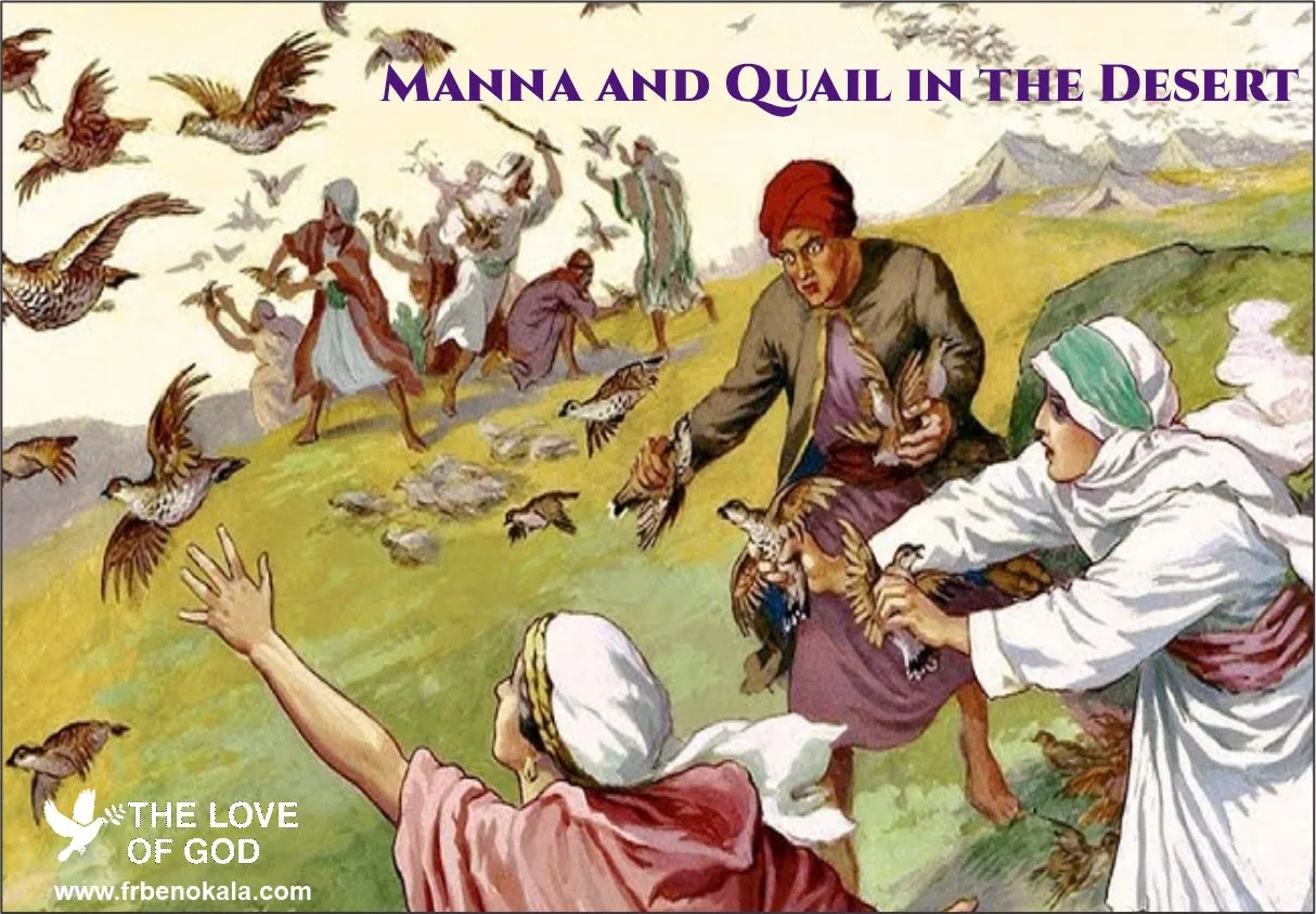 The Origin of Manna and Quail in the Desert